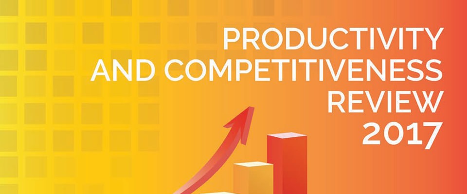 Productivity and Competitiveness Review 2017