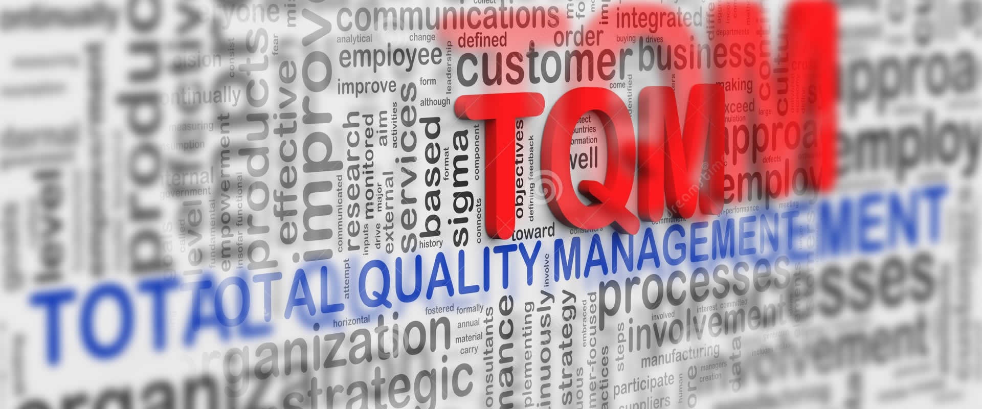 Total Quality Management'